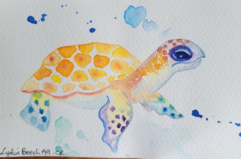 Arte vibrante de vida silvestre de Costa Rica, Vibrant Wildlife Art from Costa Rica