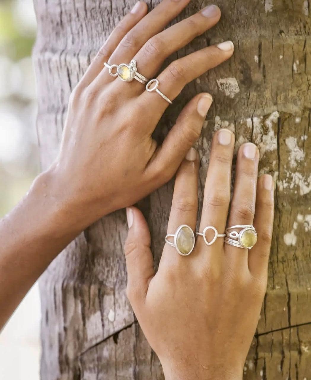 Sterling silver rin designs on fingers of two hands placed on tree